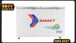 Giới thiệu tủ đông Sanaky VH 5699HY